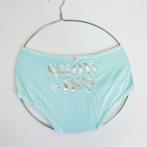 NWT PINK Victoria’s Secret ‘Snow Day’ Mint Velvet Boyshort Underwear Panty